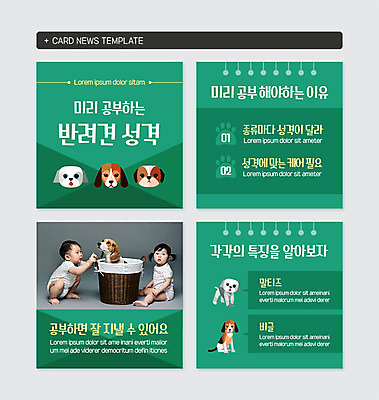 전신 PSD 템플릿 응시 여자 남자 반려견 웹템플릿 여러마리 종류 사람 앉기 두명 초록색 반려동물 바구니 귀여움 다정 한국인 아기 말티즈 강아지 비글 반려 성격 특징 펫케어 아기만 카드뉴스 이미지템플릿 동물 시선 컬러 다수 컨셉 모션 관리 동양인 개 파일형식