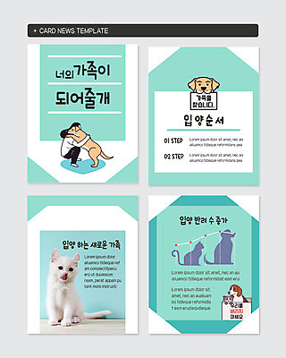 전신 PSD 동물 템플릿 여자 반려견 웹템플릿 여러마리 가족 안기 그래프 사랑 한명 사람 성인 반려동물 고양이 강아지 돌봄 민트색 반려 입양 성인여자한명만 카드뉴스 이미지템플릿 1 감정 컬러 다수 포유류 관계 모션 개 여자한명만 성인여자만 파일형식