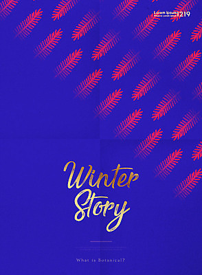 식물 잎 겨울 패턴 일러스트 프레임 사람없음 빨간색 파란색 컬러풀 배열 국내일러스트 AI파일 계절 컬러 무늬 파일형식 벡터