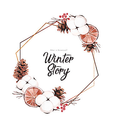 PSD 열매 겨울 일러스트 프레임 사람없음 컬러풀 나뭇가지 자몽 솔방울 건과일 목화솜 국내일러스트 나무 식물 계절 컬러 과일 건조 솜 파일형식