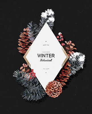 PSD 열매 크리스마스 겨울 일러스트 프레임 사람없음 컬러풀 눈 솔방울 솔잎 국내일러스트 자연요소 식물 계절 기념일 컬러 잎 날씨 파일형식