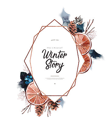 PSD 식물 겨울 일러스트 프레임 사람없음 컬러풀 나뭇가지 자몽 솔방울 건과일 국내일러스트 나무 계절 컬러 과일 건조 파일형식