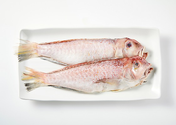 포토 JPG 스튜디오촬영 그릇 접시 식재료 실내 어류 누끼 근접촬영 사람없음 하이앵글 흰배경 옥돔 향토음식 국내포토 식기 음식 뷰포인트 백그라운드 내부 수중동물 흰색 파일형식