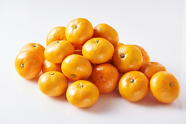 포토 JPG 스튜디오촬영 과일 귤 실내 누끼 근접촬영 사람없음 여러개 흰배경 제주감귤 제철과일 국내포토 뷰포인트 다수 백그라운드 내부 제주도 흰색 특산물 제철 파일형식