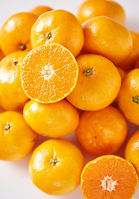 포토 JPG 스튜디오촬영 과일 귤 실내 누끼 근접촬영 사람없음 하이앵글 여러개 흰배경 제주감귤 제철과일 국내포토 뷰포인트 다수 백그라운드 내부 제주도 흰색 특산물 제철 파일형식