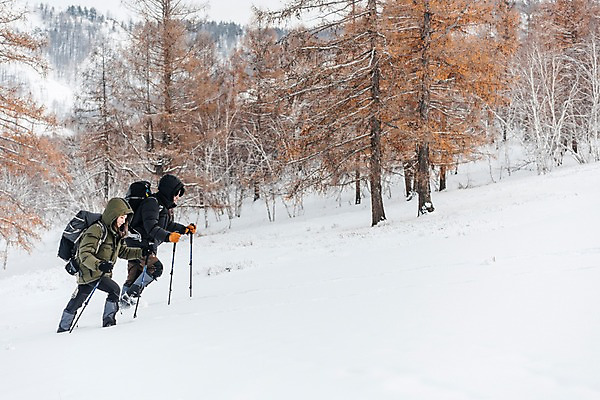 포토 JPG 주간 전신 나무 커플 여자 남자 여행 배낭 산 사람 20대 성인 야외 두명 옆모습 30대 걷기 설원 트래킹 한국인 몽골 오르기 겨울산 패딩 등산스틱 성인만 국내포토 자연요소 식물 아시아 뷰포인트 겨울 가방 관계 모션 레저 눈_날씨 동양인 청년 장년 점퍼 등산용품 파일형식