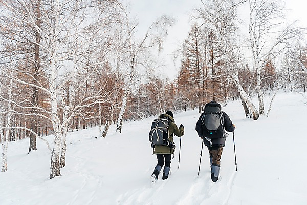 포토 JPG 주간 전신 나무 커플 여자 남자 여행 배낭 산 사람 20대 성인 야외 두명 뒷모습 30대 설원 트래킹 한국인 몽골 오르기 패딩 등산스틱 성인만 국내포토 자연요소 식물 아시아 뷰포인트 가방 관계 모션 레저 눈_날씨 동양인 청년 장년 점퍼 등산용품 파일형식