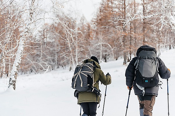 포토 JPG 주간 나무 커플 여자 남자 여행 배낭 산 사람 상반신 20대 성인 야외 두명 뒷모습 30대 걷기 설원 트래킹 한국인 몽골 오르기 패딩 등산스틱 성인만 국내포토 자연요소 식물 아시아 뷰포인트 가방 관계 모션 레저 눈_날씨 동양인 청년 장년 점퍼 등산용품 파일형식
