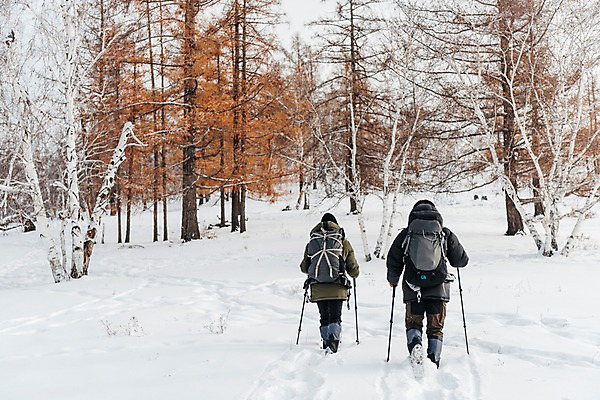 포토 JPG 주간 전신 나무 커플 여자 남자 여행 배낭 산 사람 20대 성인 야외 두명 뒷모습 30대 걷기 설원 트래킹 한국인 숲 몽골 패딩 등산스틱 성인만 국내포토 자연요소 식물 아시아 뷰포인트 가방 관계 모션 레저 눈_날씨 동양인 청년 장년 점퍼 등산용품 파일형식