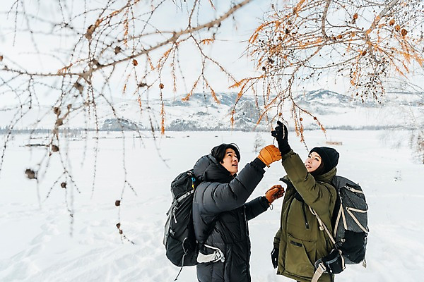 포토 JPG 주간 커플 응시 여자 남자 여행 배낭 산 사람 상반신 20대 성인 야외 두명 옆모습 30대 설원 트래킹 한국인 올려보기 나뭇가지 잡기 몽골 패딩 성인만 겨울풍경 국내포토 자연요소 나무 시선 아시아 뷰포인트 겨울 가방 관계 모션 레저 눈_날씨 동양인 풍경 청년 장년 점퍼 파일형식