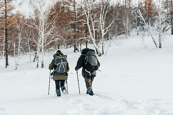 포토 JPG 주간 전신 나무 커플 여자 남자 여행 배낭 산 사람 20대 성인 야외 두명 뒷모습 30대 걷기 설원 트래킹 한국인 눈 몽골 패딩 등산스틱 성인만 국내포토 자연요소 식물 아시아 뷰포인트 가방 관계 모션 레저 날씨 눈_날씨 동양인 청년 장년 점퍼 등산용품 파일형식