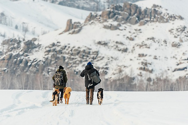 포토 JPG 주간 전신 커플 여자 남자 여행 배낭 산 사람 20대 성인 야외 두명 뒷모습 30대 걷기 설원 트래킹 한국인 눈 시베리안허스키 몽골 썰매개 겨울산 패딩 성인만 국내포토 자연요소 아시아 뷰포인트 겨울 가방 관계 모션 레저 날씨 눈_날씨 동양인 청년 장년 점퍼 개 파일형식