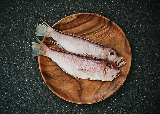 포토 JPG 스튜디오촬영 그릇 접시 음식 실내 어류 사람없음 하이앵글 옥돔 플랫레이 향토음식 국내포토 식기 뷰포인트 내부 수중동물 플랫 파일형식