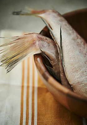 포토 JPG 스튜디오촬영 그릇 접시 음식 실내 어류 근접촬영 사람없음 천 꼬리지느러미 옥돔 향토음식 국내포토 식기 뷰포인트 내부 수중동물 직물 지느러미 파일형식