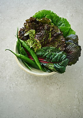 포토 JPG 스튜디오촬영 그릇 접시 음식 채소 고추 실내 사람없음 하이앵글 상추 쌈 쌈채소 플랫레이 향토음식 국내포토 식기 뷰포인트 내부 플랫 파일형식