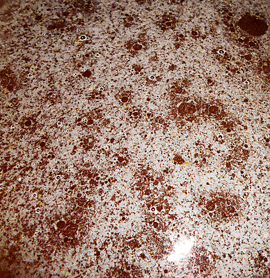 포토 JPG 해외이미지 음식 곤충 백그라운드 오렌지 건강 사람없음 야외 약 노란색 흐름 물방울 시골 신선 머리빗 액체 황금 달콤 맛 떨어짐 꿀벌 질감 날것 꽃가루 시럽 꿀 벌집 내추럴 밀랍 양봉 양봉장 어려움 왁스 해외포토 동물 컬러 컨셉 과일 의학 미용용품 벌_곤충 가루 파일형식 이미지허브