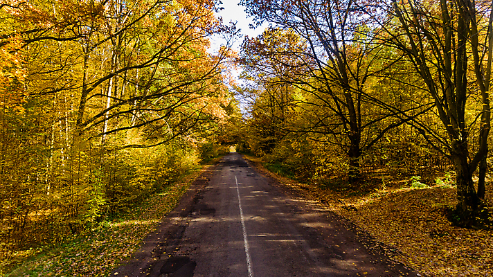 포토 JPG 해외이미지 나무 식물 계절 공원 유럽 도로 길 백그라운드 잎 오렌지 자연 벽지 안테나 풍경 사람없음 야외 목재 빨간색 초록색 빛 컬러풀 햇빛 뷰티 갈색 노란색 환경 활발 가을 시골 신선 황금 숲 오솔길 유기농 질감 내추럴 조감도 해외포토 웰빙 공공시설 나라 컬러 컨셉 과일 재료 통신 교통시설 태양 생태계 파일형식 이미지허브