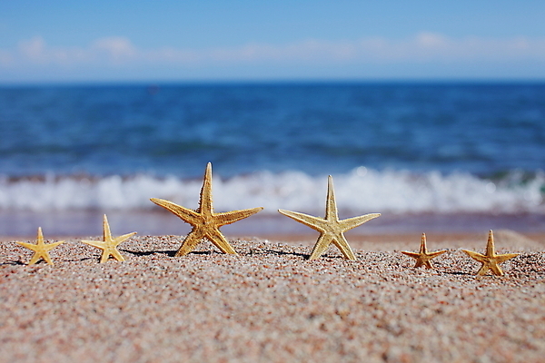 포토 JPG 해외이미지 주간 모래 파도 불가사리 해변 사람없음 야외 해외포토 자연요소 바다 극피동물 파일형식 이미지허브