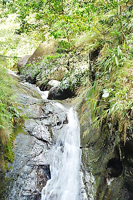 포토 JPG 해외이미지 나무 아시아 여행 백그라운드 자연 풍경 사람없음 야외 초록색 물 폭포 숲 내추럴 해외포토 자연요소 식물 나라 컬러 생태계 파일형식 이미지허브
