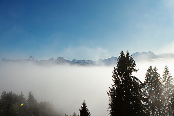 포토 JPG 해외이미지 나무 구름 계절 호수 여행 백그라운드 크리스마스 겨울 자연 하늘 휴가 산 풍경 사람없음 야외 파란색 뷰티 우주 마을 환경 냉동 얼음 일몰 추위 안개 흰색 시골 소나무 숲 스위스 언덕 빙하 알프스 장면 전나무 내추럴 산악지대 웅장함 절정 눈내림 해외포토 자연요소 식물 기념일 유럽 컬러 날씨 눈_날씨 노을 생태계 파일형식 이미지허브