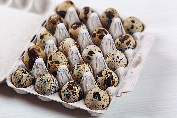 포토 JPG 해외이미지 전통 디자인 계절 음식 백그라운드 패턴 재료 자연 휴가 부활절 건강 사람없음 목재 장식 상자 농장 갈색 계란 축제 치킨 흰색 시골 축하 신선 그룹 아침식사 상품 작음 컨테이너 먹기 심볼 깃털 유기농 팩 내추럴 단백질 메추리 콘크리트 해외포토 나무 웰빙 기념일 산업 컬러 컨셉 무늬 농업 모션 알 식사 화장품 크기 생태계 닭고기요리 영양소 파일형식 이미지허브