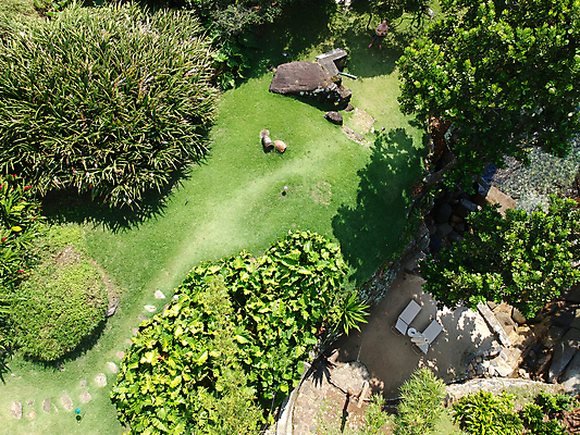 포토 JPG 해외이미지 나무 공원 모래 바다 여행 백그라운드 의자 자연 휴가 휴식 바닥 풍경 사람없음 야외 초록색 물 여름 파란색 햇빛 태양 뷰티 침묵 바위 만 고급 숲 발자국 암초 멀리 내추럴 드론 이국적 조감도 해외포토 자연요소 식물 계절 공공시설 컬러 가구 컨셉 자국 소리 돌_바위 생태계 파일형식 이미지허브