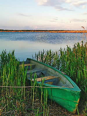 포토 JPG 해외이미지 식물 호수 여행 백그라운드 자연 하늘 낚시 항해 갈대 풍경 사람없음 야외 목재 초록색 물 여름 파란색 강 평화 환경 침묵 가을 시골 보트 묘사 만족 루마니아 예약 다뉴브강 생태학 채널 혼자 해외포토 자연요소 나무 계절 교육 감정 유럽 컬러 컨셉 배_교통 재료 레저 소리 생태계 파일형식 이미지허브