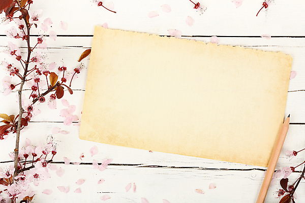 포토 JPG 해외이미지 계절 꽃잎 꽃 종이 분홍색 백그라운드 꽃무늬 자연 날씨 사랑 사람없음 목재 새싹 우주 쪽지 고요 봄 공백 벚꽃 흰색 나뭇가지 개화 메시지 순수 질감 페이지 아몬드 시트 옛날 카피스페이스 해외포토 나무 식물 감정 컬러 컨셉 무늬 재료 견과류 생태계 파일형식 이미지허브