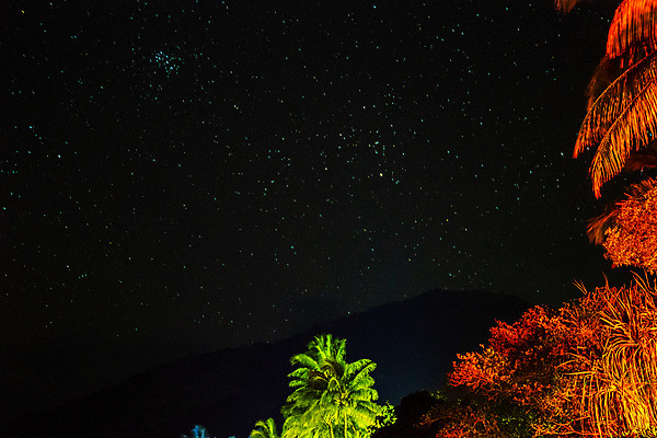 포토 JPG 해외이미지 나무 실루엣 별 모래 바다 섬 여행 백그라운드 자연 하늘 휴가 손바닥 풍경 사람없음 야외 물 여름 파란색 빛 우주 어둠 침묵 별자리 호주 야간 저녁 코스모스 휴양지 은하계 장면 천문학 방법 해외포토 자연요소 식물 손 계절 교육 꽃 컬러 촬영기법 소리 장소 오세아니아 생태계 파일형식 이미지허브