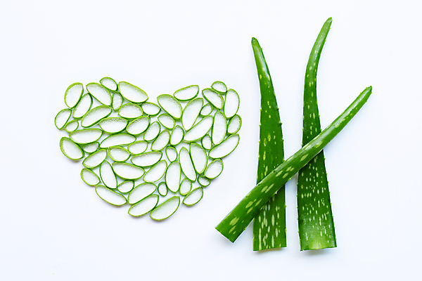 포토 JPG 해외이미지 스튜디오촬영 단면 실내 사람없음 하이앵글 뷰티 하트 흰배경 알로에 해외포토 모양 식물 뷰포인트 백그라운드 내부 흰색 파일형식 이미지허브