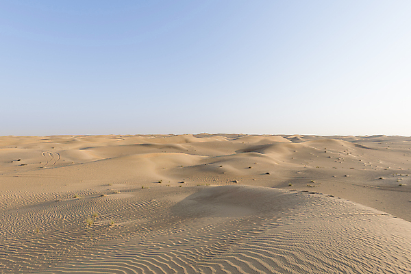 포토 JPG 해외이미지 디자인 모래 파도 여행 백그라운드 오렌지 중동 아프리카 자연 하늘 추상 휴가 건조 풍경 사람없음 야외 여름 노란색 사막 뜨거움 황무지 고독 모래언덕 사파리 질감 장면 모로코 사하라 내추럴 두바이 아랍어 수평선 카피스페이스 해외포토 계절 감정 나라 바다 컬러 무늬 과일 공백 언덕 생태계 아랍에미리트 파일형식 이미지허브