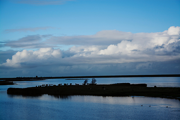 포토 JPG 해외이미지 자연 독일 풍경 사람없음 건물 가을 보호 10월 해외포토 건축물 계절 유럽 컨셉 날짜 생태계 파일형식 이미지허브