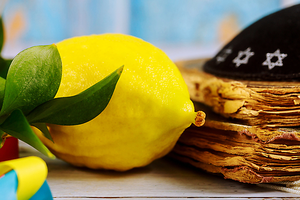 포토 JPG 해외이미지 전통 종교 문화 잎 과일 휴가 귤 종류 손바닥 사람없음 축제 축하 의식 영혼 레몬 심볼 잔치 신성 유대인 신앙심 예루살렘 유태교 해외포토 식물 손 컨셉 이스라엘 파일형식 이미지허브