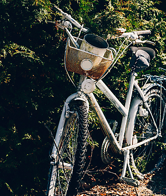 포토 JPG 해외이미지 스포츠 교통시설 사람없음 야외 울타리 운동 바구니 금속 자전거 기댐 흰색 램프 바퀴 승차 주차 부식 친환경 순환 타이어 통조림 사이클링 옛날 그리너리 해외포토 컬러 교통 모션 재질 조명 건강 담장 환경 바이크 육상스포츠 시설 파일형식 트랜드컬러 이미지허브