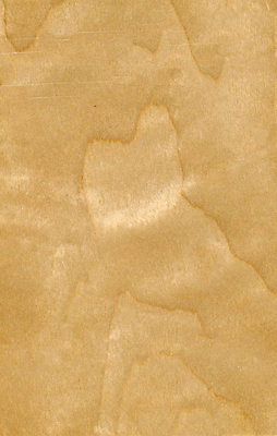 포토 JPG 해외이미지 디자인 벽 가구 백그라운드 탁자 표면 추상 주택 사람없음 내부 목재 장식 갈색 어둠 줄무늬 시골 소나무 판넬 널 매끈함 묘사 질감 복고 잡동사니 내추럴 옛날 세련 파케트 해외포토 나무 컬러 생활용품 무늬 재료 건물 감각 파일형식 이미지허브