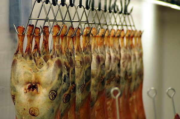 포토 JPG 해외이미지 동물 선 음식 신체 근육 매달리기 육류 사람없음 상점 금속 기댐 가축 추위 신선 고리 상품 자르기 준비 날것 냉장고 소매 양고기 단백질 분배 정육점 줄서기 해외포토 식재료 모션 재질 가전제품 영양소 파일형식 이미지허브