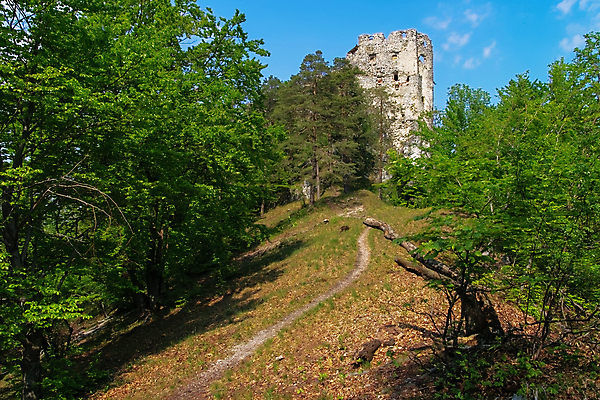 포토 JPG 해외이미지 나무 유럽 여행 백그라운드 잎 건축양식 자연 하늘 산 풍경 사람없음 야외 건물 목재 초록색 빛 햇빛 환경 탑 침묵 일몰 가을 시골 성 중세 역사 재산 황금 숲 언덕 만족 내추럴 삼림지대 슬로바키아 파멸 해외포토 식물 건축물 계절 건축 감정 나라 컬러 컨셉 재료 금융 태양 노을 소리 생태계 파일형식 소멸 이미지허브