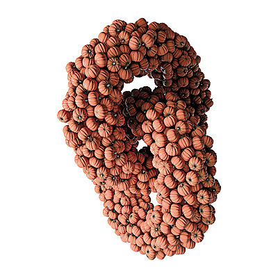 포토 JPG 해외이미지 호박 사람없음 3D 가을 고리 흰배경 해외포토 계절 백그라운드 채소 흰색 디지털합성 파일형식 이미지허브