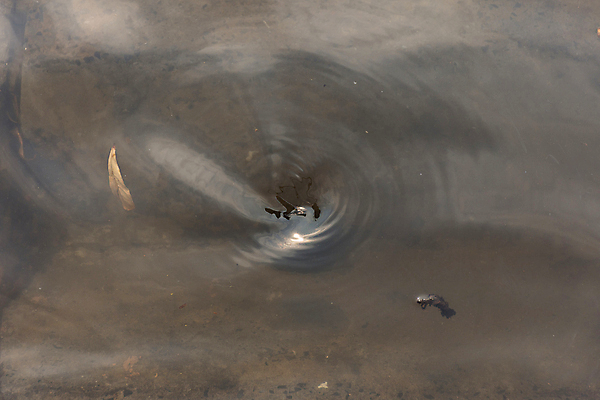 포토 JPG 해외이미지 도로 파도 태국 자연 날씨 거리 주택 사람 사람없음 건물 물 강 글로벌 반사 마을 환경 손상 젖음 긴급 도시 위험 홍수 사인 방콕 폭풍 내추럴 공화국 재앙 해외포토 자연요소 건축물 나라 아시아 길 바다 컨셉 교통시설 자연재해 생태계 파일형식 이미지허브