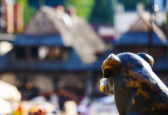 포토 JPG 해외이미지 유럽 여행 사람없음 조각상 숫자 금속 피규어 관찰 시장 개 씻기 소프트포커스 손목시계 정사각형 보케 사냥개 청동 타운 기념물 폴란드 천연기념물 블러 해외포토 도형 문자 나라 시계 장신구 포유류 모션 재질 촬영기법 조형물 청결 미니어처 도시 파일형식 이미지허브