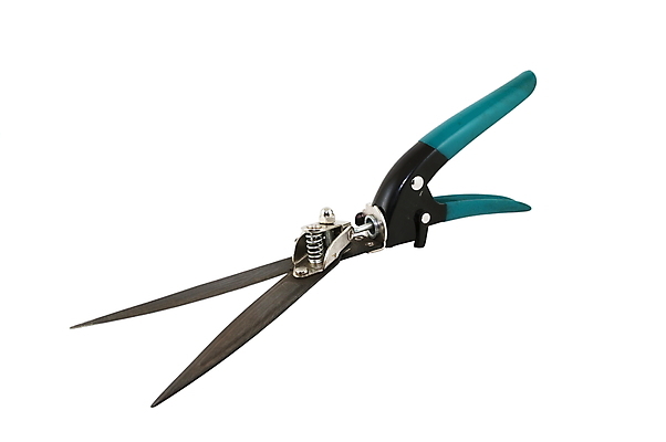 포토 JPG 해외이미지 식물 밭 건강 잔디 사람없음 옆모습 초록색 세트 금속 장비 흰색 공구 업무 칼날 자르기 철 오브젝트 서비스 원예 클립 느림 고립 돌봄 커터 해외포토 뷰포인트 컬러 농업 모션 재질 취미 도구 작업 파일형식 이미지허브