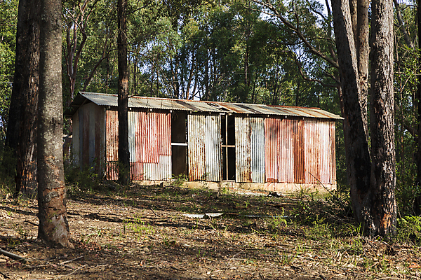 포토 JPG 해외이미지 나무 식물 공원 야생동물 여행 잎 자연 지붕 주택 국립공원 풍경 사람없음 야외 건물 목재 초록색 갈색 환경 손상 나뭇가지 시골 호주 숲 지역 내추럴 깨짐 삼림지대 선로 옛날 오지 해외포토 동물 건축물 공공시설 컬러 컨셉 재료 오세아니아 생태계 파일형식 이미지허브