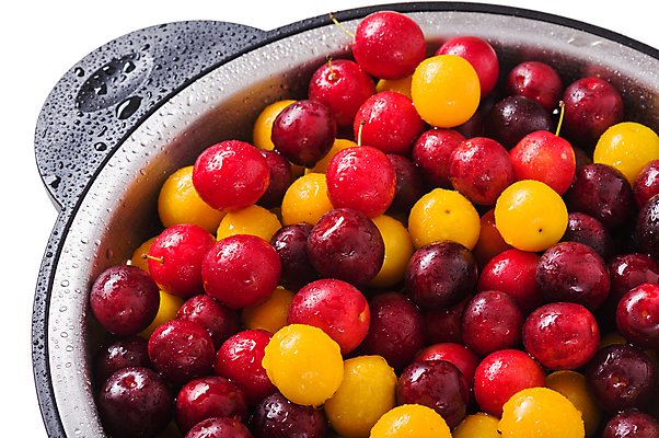 포토 JPG 해외이미지 열매 음식 백그라운드 농업 다이어트 과일 자연 건강 사람없음 목재 빨간색 여름 노란색 가을 신선 도움 달콤 유기농 날것 자두 고립 브랜디 숙성 채식주의자 해외포토 나무 식물 웰빙 계절 산업 컬러 컨셉 재료 맛 생태계 채식 파일형식 이미지허브