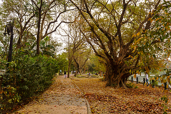 포토 JPG 해외이미지 계절 길 여행 백그라운드 단풍 농업 사람없음 빨간색 여름 컬러풀 환경 봄 황무지 오솔길 환경보전 러시아 삼림지대 흙길 카피스페이스 해외포토 유럽 산업 컬러 잎 흙 공백 숲 사회이슈 파일형식 이미지허브