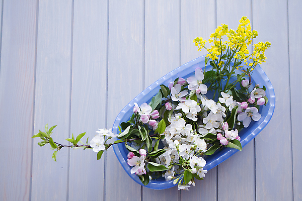 포토 JPG 해외이미지 모양 나무 꽃 분홍색 꽃다발 결혼 백그라운드 컨셉 자연 휴가 수채화 부활절 프레임 발렌타인데이 선물 사랑 사람없음 장식 여름 노란색 축제 봄 추위 수확 벚꽃 흰색 시골 축하 신선 신용카드 생일 체리 사과 정상 배열 꽃집 복고 초대 머리위 구성 파스텔톤 해외포토 식물 계절 기념일 감정 컬러 농업 과일 데이이벤트 이벤트 금융 상점 생태계 파일형식 이미지허브