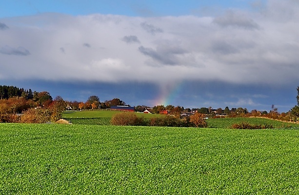 포토 JPG 해외이미지 나무 구름 호수 무지개 자연 하늘 날씨 풍경 사람없음 초록색 물 여름 파란색 빛 강 컬러풀 햇빛 태양 뷰티 반사 노란색 분수 폭풍 후광 내추럴 더블 스펙트럼 프리즘 현상 해외포토 자연요소 식물 계절 컬러 생태계 광학기기 파일형식 이미지허브