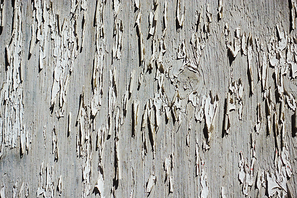 포토 JPG 해외이미지 디자인 종이 벽 백그라운드 패턴 벽지 표면 날씨 추상 프레임 미술 사람없음 공백 회색 수확 골동품 바위 질감 복고 시멘트 그런지 옛날 콘크리트 노화 해외포토 컬러 컨셉 무늬 농업 문화예술 돌_바위 파일형식 이미지허브