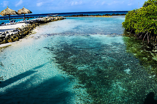 포토 JPG 해외이미지 나무 모래 바다 섬 여행 자연 하늘 휴가 손바닥 풍경 사람없음 야외 물 여름 파란색 야자수 맑음 흰색 휴양지 코코넛 카리브해 이국적 파라다이스 수평선 해외포토 자연요소 식물 손 계절 컬러 과일 날씨 장소 생태계 파일형식 이미지허브