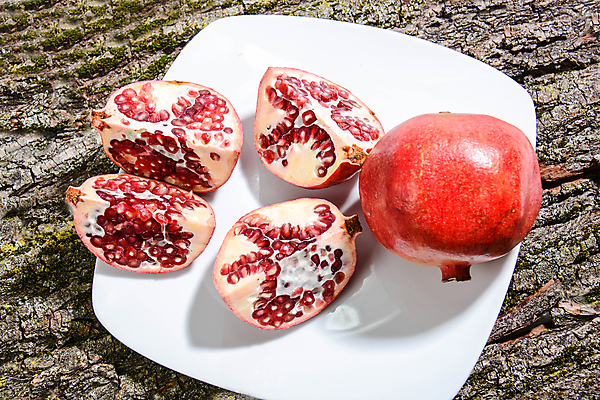 포토 JPG 해외이미지 자연 딸기 포도 건강 사람없음 복지 복숭아 석류 살구 해외포토 과일 사회이슈 생태계 파일형식 이미지허브