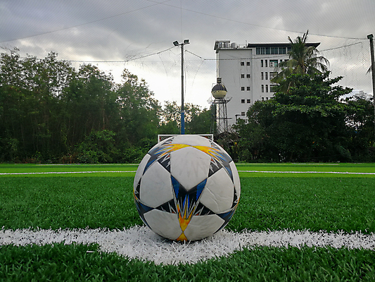 포토 JPG 해외이미지 공원 선 스포츠 백그라운드 패턴 밭 일러스트 공 자연 놀이 표면 잔디 사람없음 야외 컵 초록색 운동 축구 경쟁 경기장 줄무늬 도전 게임 흰색 그물 모서리 놀이터 소프트포커스 플라스틱 묘사 질감 합성 섬유 골 땅바닥 인공 해외포토 식물 식기 공공시설 컬러 컨셉 무늬 농업 스포츠시설 재질 바닥 촬영기법 건강 구기 직물 생태계 파일형식 이미지허브